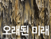 2020 경기문화예술신문 유랑동행 프로젝트 특별기획전 , 예술공간봄갤러리 제2전시실에서 이달 11일까지 전시